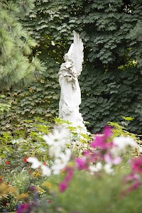 IMG_3624.jpg