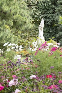 IMG_3625.jpg