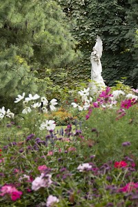 IMG_3626.jpg