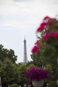 IMG_3640.jpg