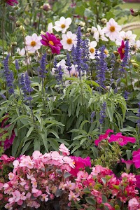 IMG_3680.jpg
