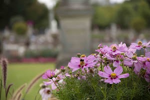 IMG_3684.jpg