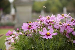 IMG_3688.jpg