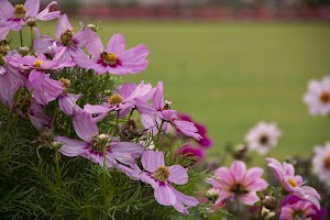 IMG_3767.jpg