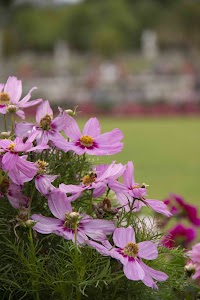 IMG_3779.jpg