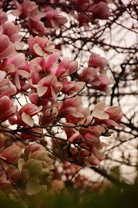 IMG_4058.jpg