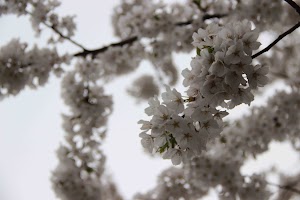 IMG_4384.jpg
