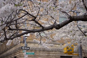 IMG_4387.jpg