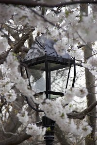IMG_4406_2 copy.jpg