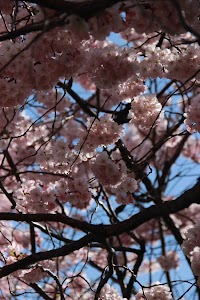 IMG_5085_2.jpg