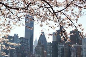 IMG_5094.jpg