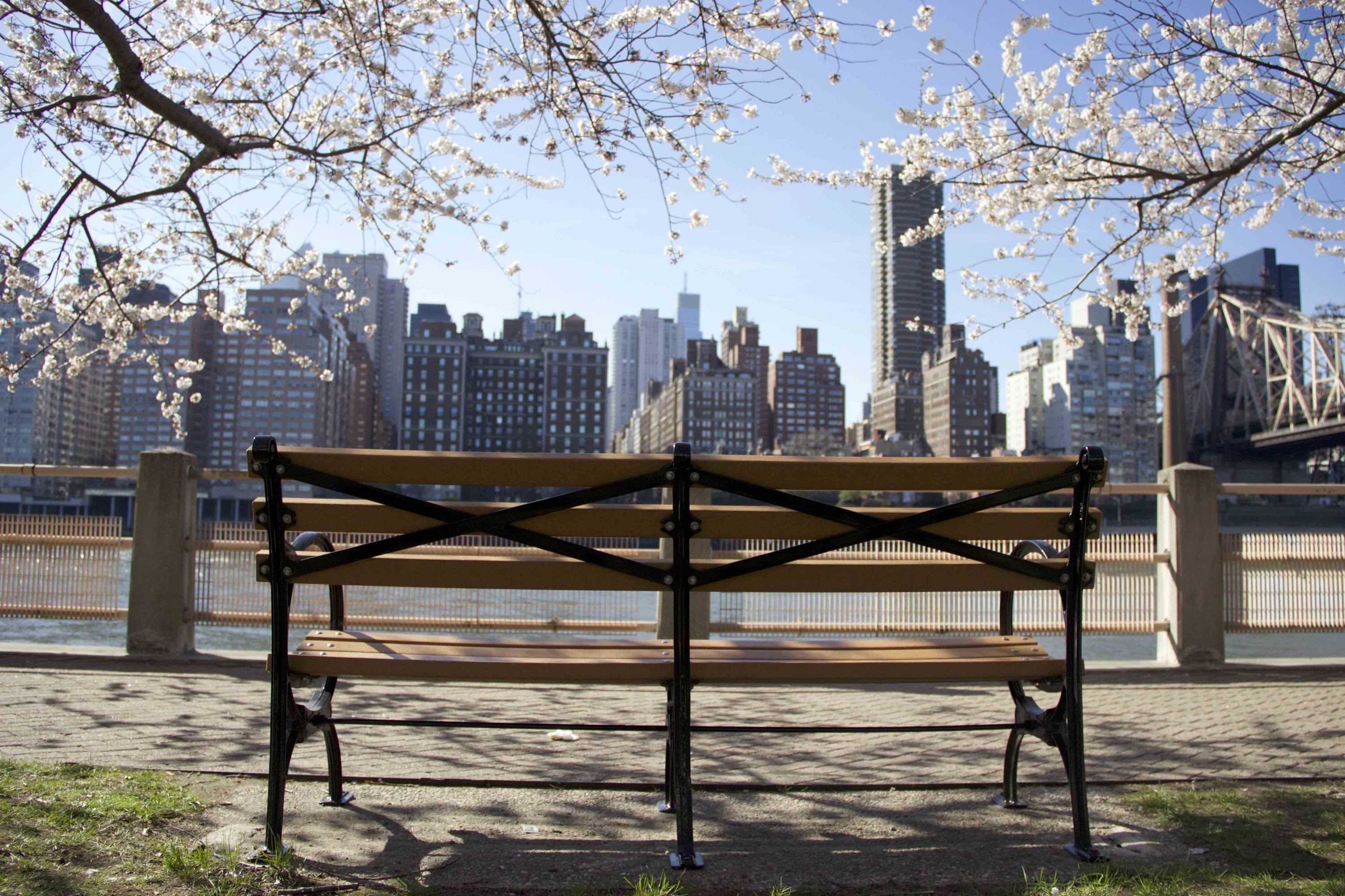 Queensboro Bridge and Roosevelt Island Tramway View, New York City