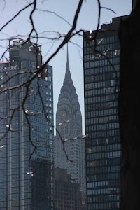IMG_5146.jpg