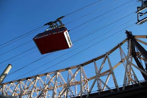 IMG_5198.jpg