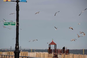 IMG_5425.jpg