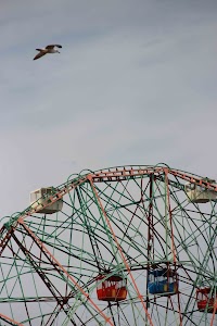 IMG_5429_2.jpg