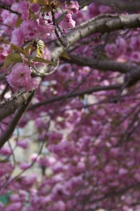 IMG_5615_2.jpg