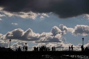 IMG_8041_1.jpg