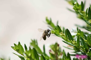 IMG_8792.jpg