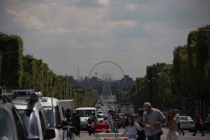 IMG_9025.jpg