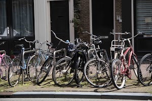 IMG_9241.jpg
