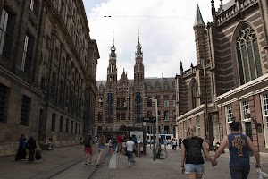 IMG_9309.jpg