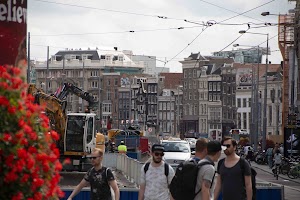 IMG_9338.jpg