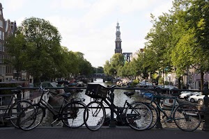 IMG_9487.jpg