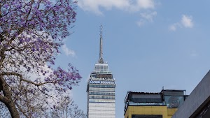 DSC02661.jpg