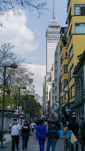 DSC02663.jpg