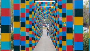 DSC03046.jpg