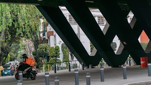 DSC03050.jpg