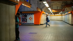 DSC03087.jpg