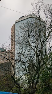 DSC03106.jpg
