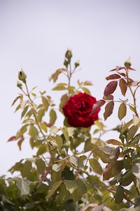 IMG_3544.jpg