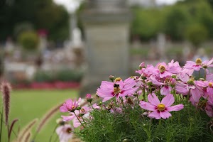 IMG_3684.CR2