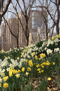 IMG_3855_2.jpg
