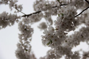 IMG_4384.JPG