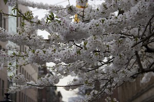 IMG_4393 copy.jpg