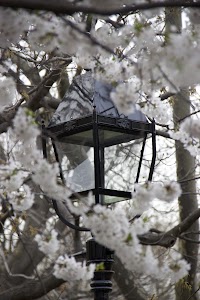 IMG_4406_2 copy.jpg
