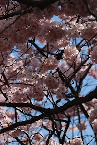 IMG_5085_2.jpg