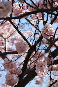 IMG_5089_2.jpg