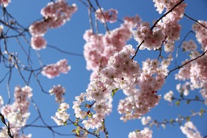 IMG_5105.JPG