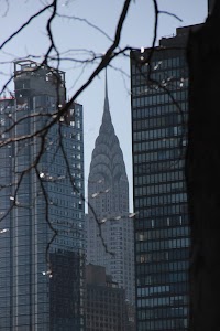 IMG_5146.jpg