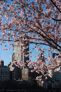 IMG_5183.jpg