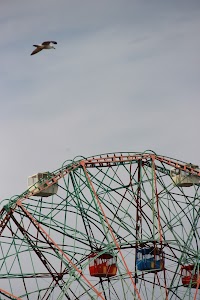 IMG_5429_2.jpg