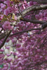 IMG_5615_2.jpg