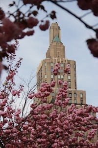 IMG_5644_2.jpg