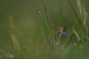 IMG_6254.JPG