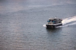 IMG_7187a.jpg